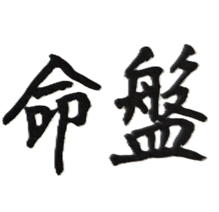 八字命盤相同的人不一定會有相同命運！兩個人即使是同年、同月、同日、同時辰出生，但如果所出生的國家不相同（一人出生在亞洲，另一人出生在非洲）、社會背景不同（一人出生在高科技的都市，另一人出生在原始部落社會）或家庭環境（一個家庭富有，另一個家庭貧窮）也都不同，當然兩人未來的命運就不會一樣。除了上述地理、風水、家庭經濟好壊，會因人而異，直接影響人的命運；有時自身所受教育程度的不同、以及平日是否有行善或修德行為，也皆會影響人的命運發展，譬如一個人肯努力讀書，另一個人卻不喜歡讀書，最後兩人命運絕對完全相異。