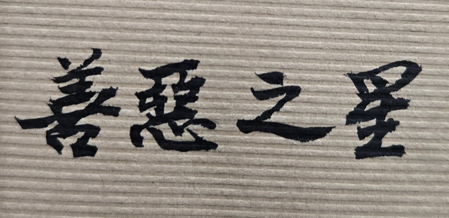 紫微斗數命盤十二宮的「僕役宮」又稱「交友宮」，十分重要。一個人大約從小學開始，就正式有同學、朋友的存在，長大做事以後，更會有同事、工作夥伴的存在。但從紫微斗數命理分析來看，在我們人生旅程中，有些朋友是我們的助力、貴人，有些朋友則是我們的欠力、小人，必須謹慎小心並分辨清楚。否則交友不慎、交友複雜，或是平日花太多的精力、時間在一些不好的酒肉朋友身上，最後不只會造成自己事業的不振、衰敗，甚至亦會嚴重影響到家庭的不和、破碎！