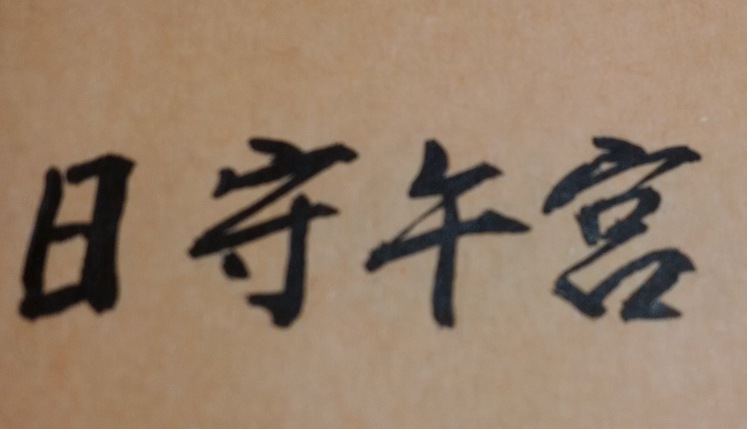 金燦光輝